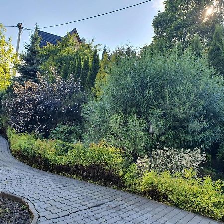 Willa Bukowina Apartamento Bukowina Tatrzańska Exterior foto